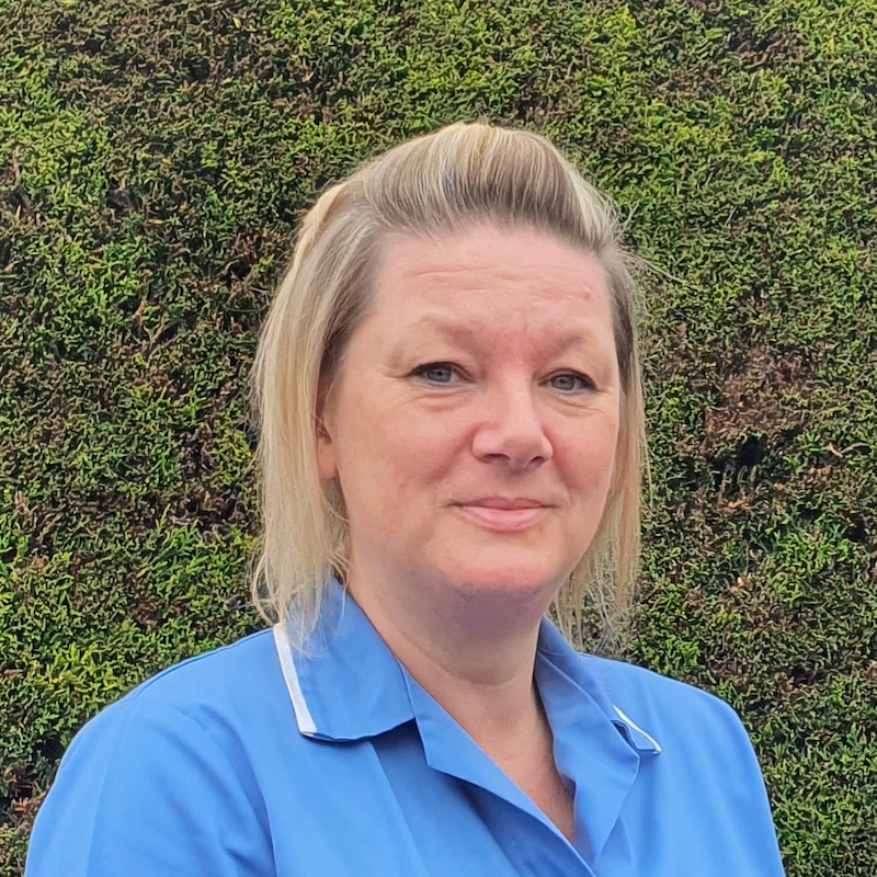 Upstairs Downstairs Cleaning Services - Anne