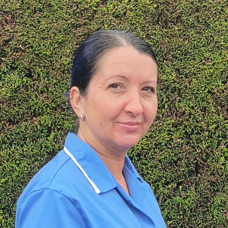 Upstairs Downstairs Cleaning Services - Anne