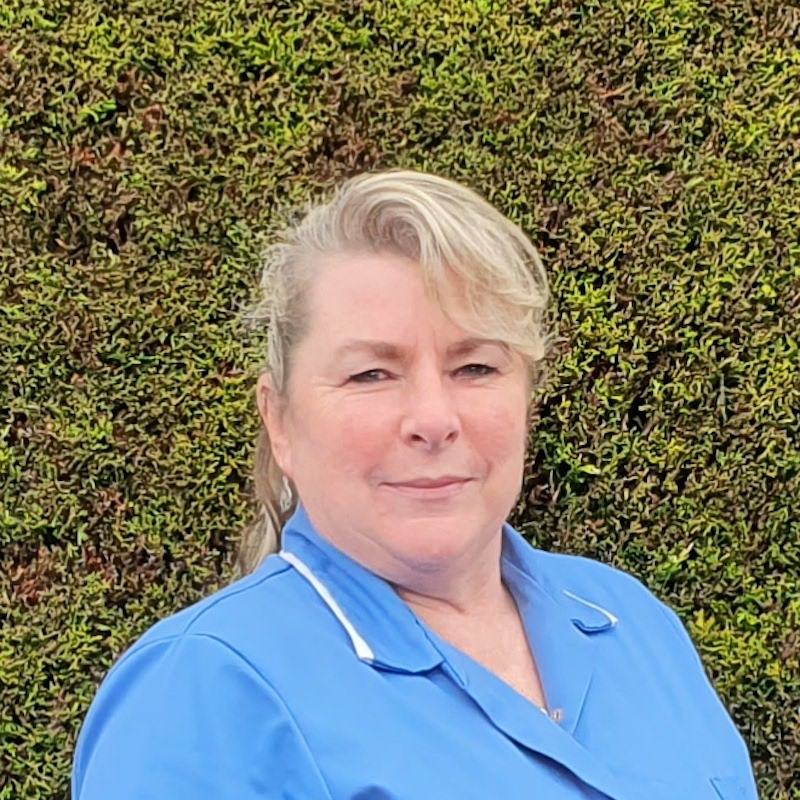 Upstairs Downstairs Cleaning Services - Anne